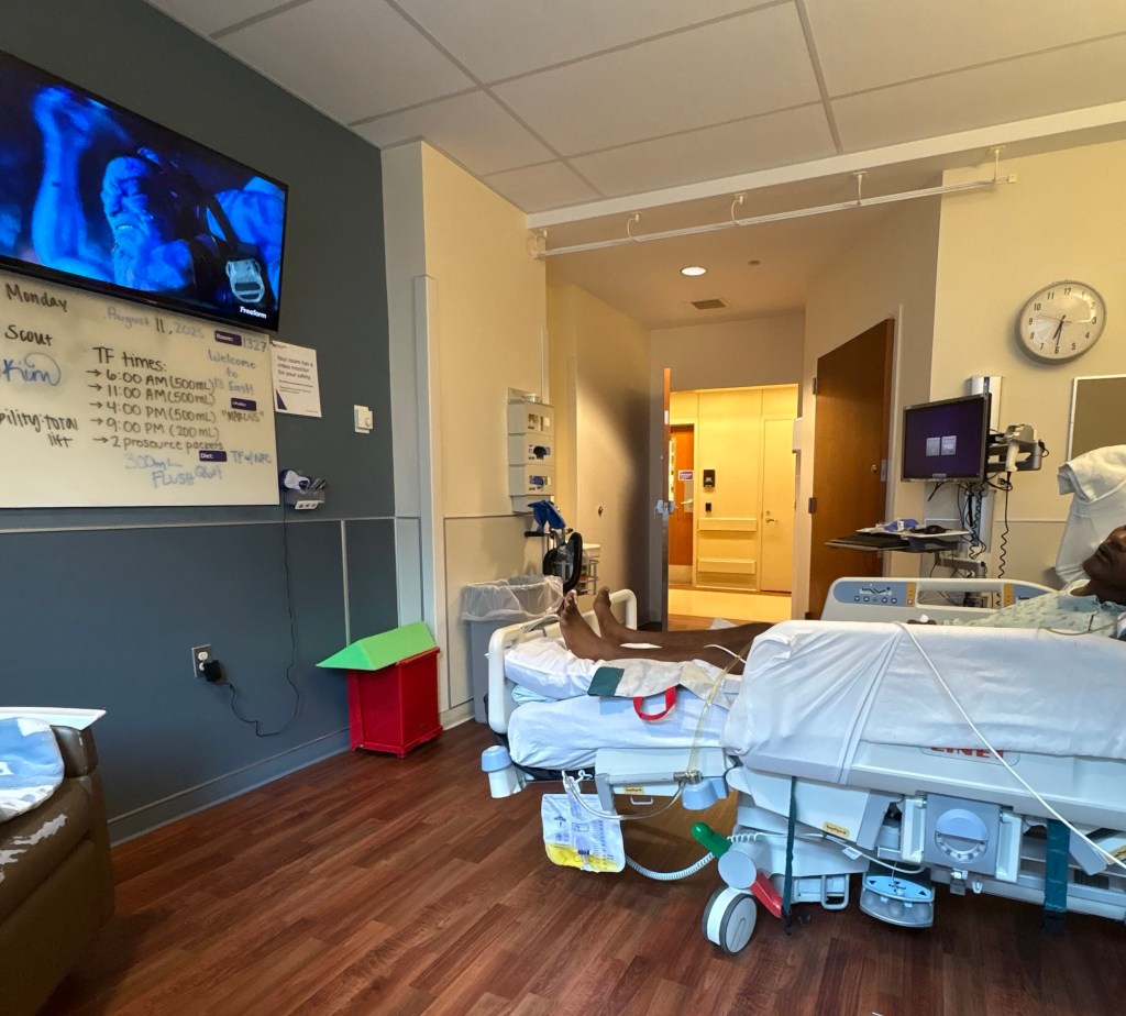 A Year and&nbsp;Counting